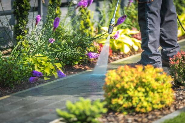 Best Pre-Holiday Cleaning  in Sugar Grove, IL